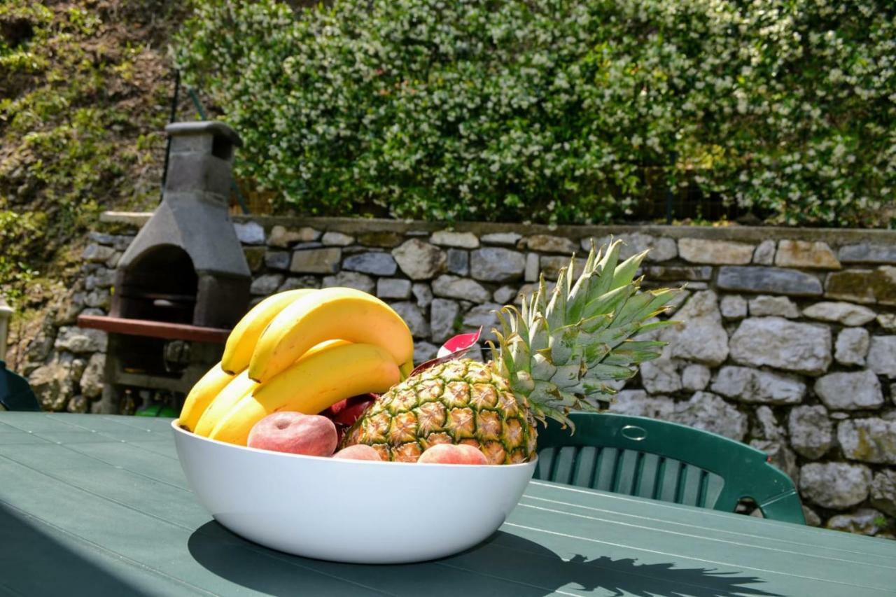 Le Grigne Guest House Oliveto Lario Dış mekan fotoğraf